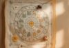 Astrological chart with 12 houses clearly marked, colorful zodiac wheel