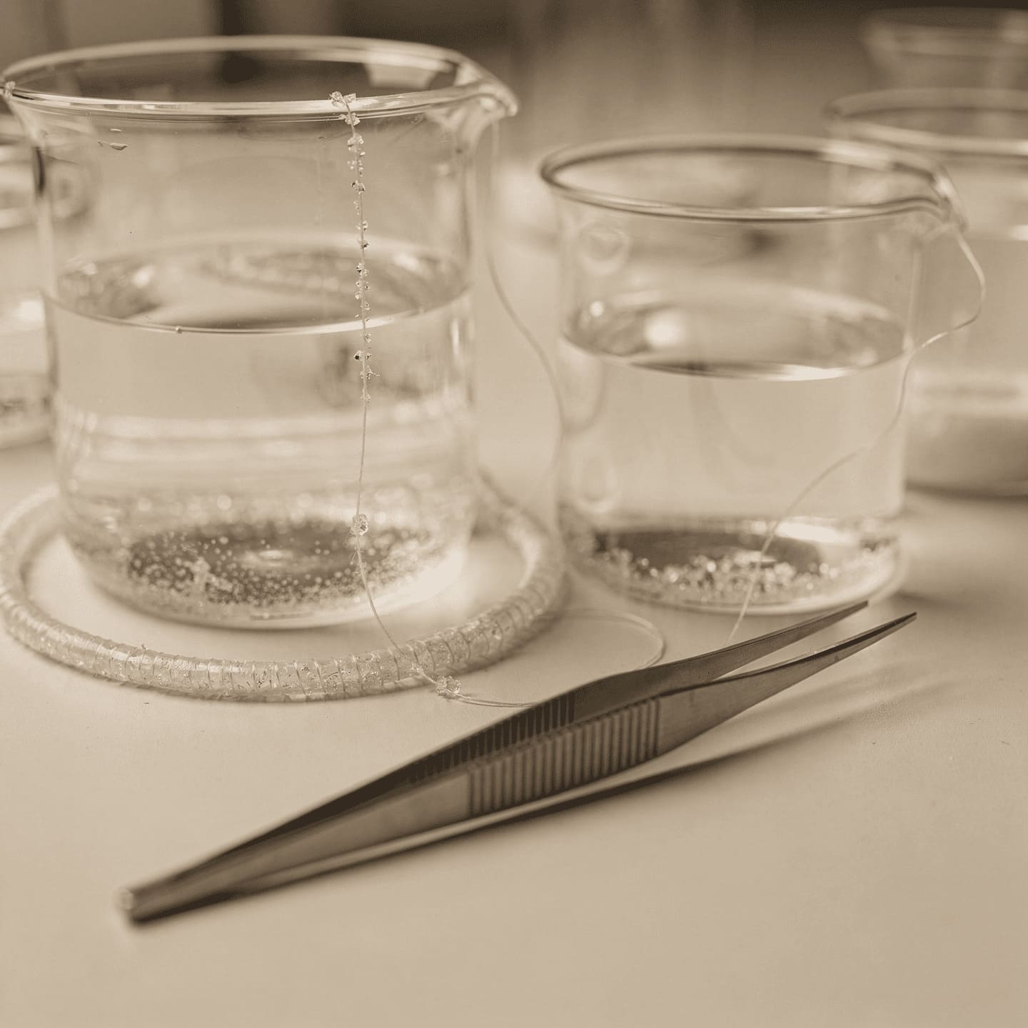 crystal growing materials supplies nylon thread tweezers glass beakers laboratory